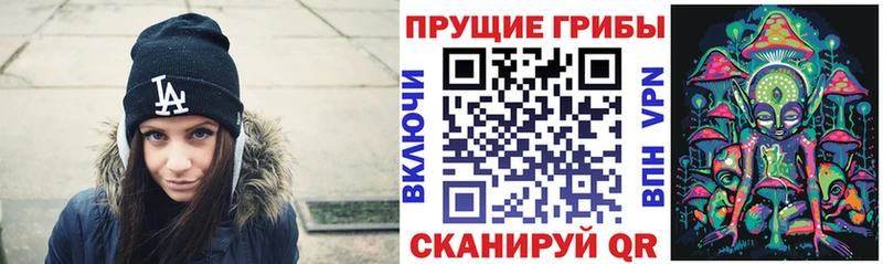 Галлюциногенные грибы GOLDEN TEACHER  OMG вход  Братск  где купить наркоту 